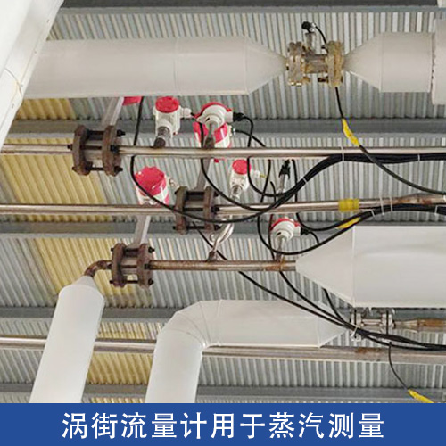<strong>渦街流量計應用于啤酒廠蒸汽監(jiān)測</strong>